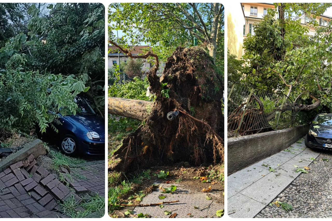 Milano, i danni del maltempo