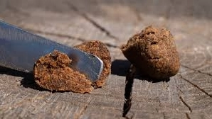 Un panetto di hashish Un panetto di hashish