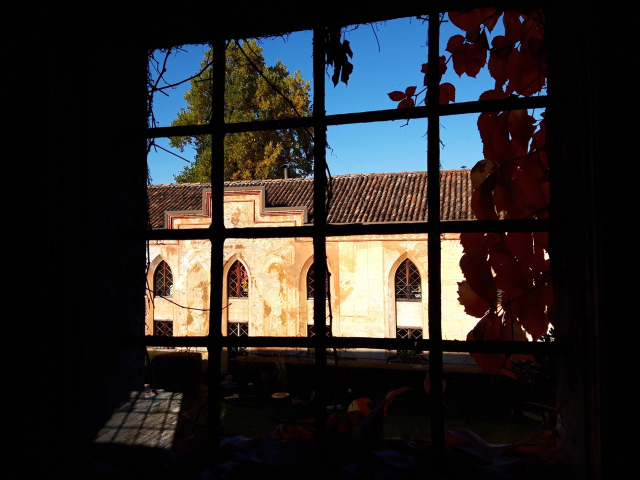 immagine di sfondo 12