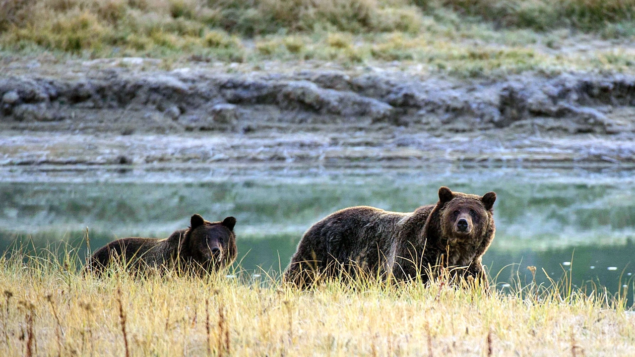 Con il Sondrio Festival a scuola di natura: 10mila ragazzi coinvolti