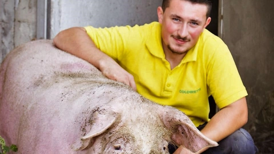 L'agricoltore Davide Nara ha perso il raccolto di un anno a causa del maltempo L'agricoltore Davide Nara ha perso il raccolto di un anno a causa del maltempo