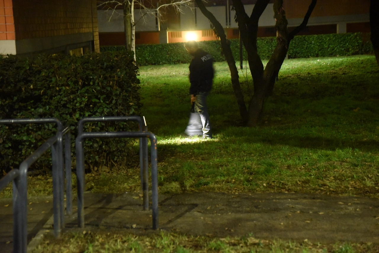 immagine di sfondo 14