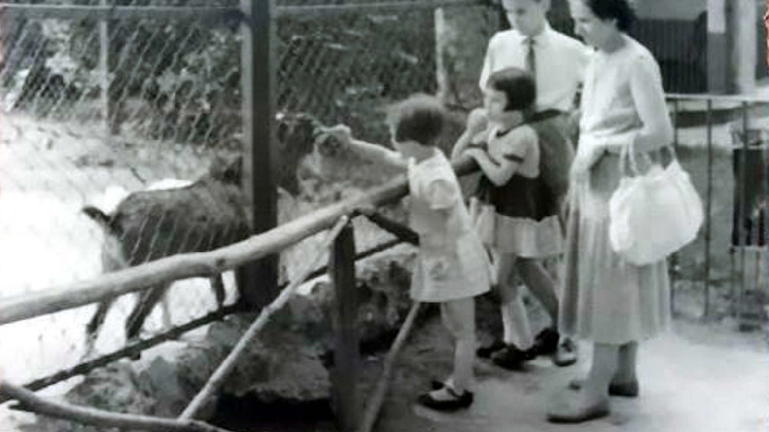Famiglia milanese in gita domenicale allo zoo