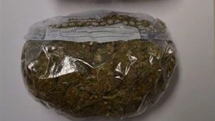 Marijuana (foto repertorio)