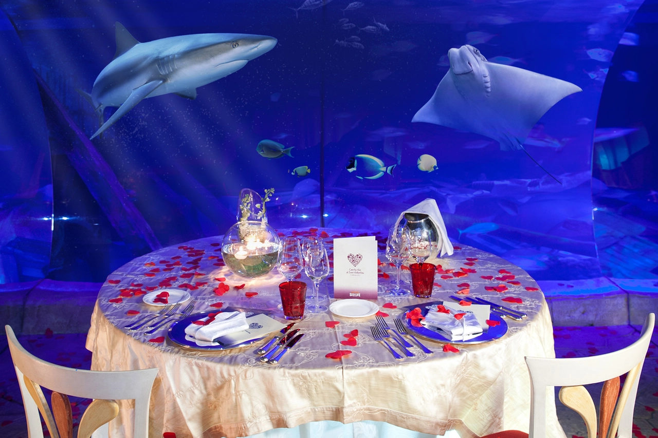 San Valentino a Gardaland Sea Life