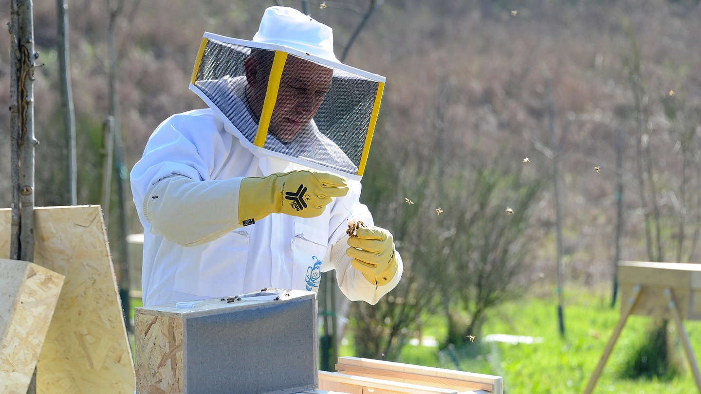 Un apicoltore (Studiosally)
