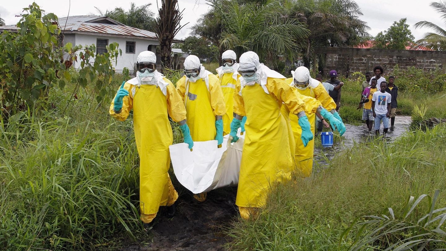 Allarme Ebola in Congo (Ansa)