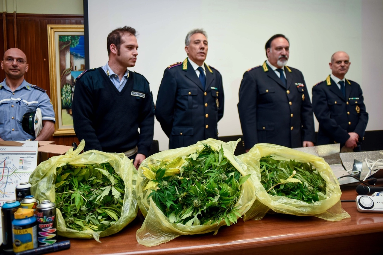 immagine di sfondo 14