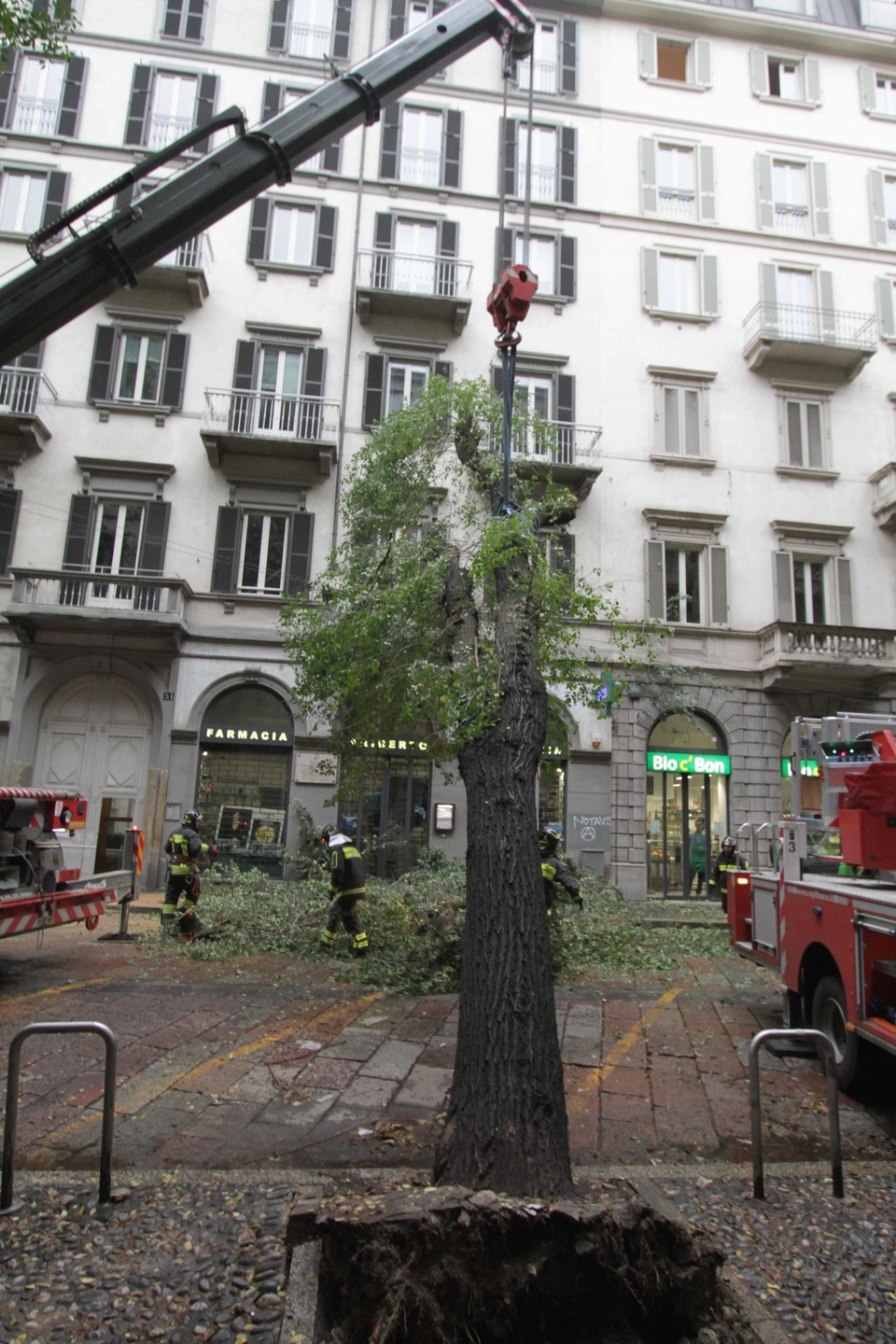 immagine di sfondo 8