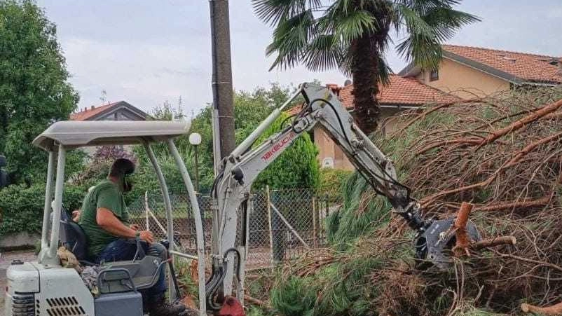 Alberi sradicati finiscono sulle auto  La Brianza lecchese colpita  dall’ultimo nubifragio notturno