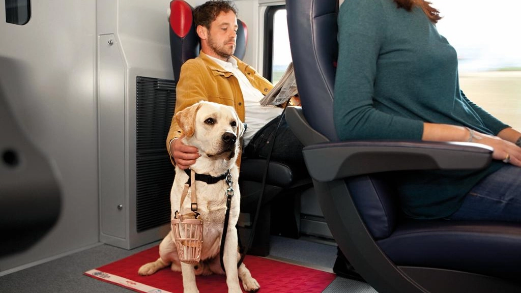 Animali e treni: viaggiare sta diventando più semplice