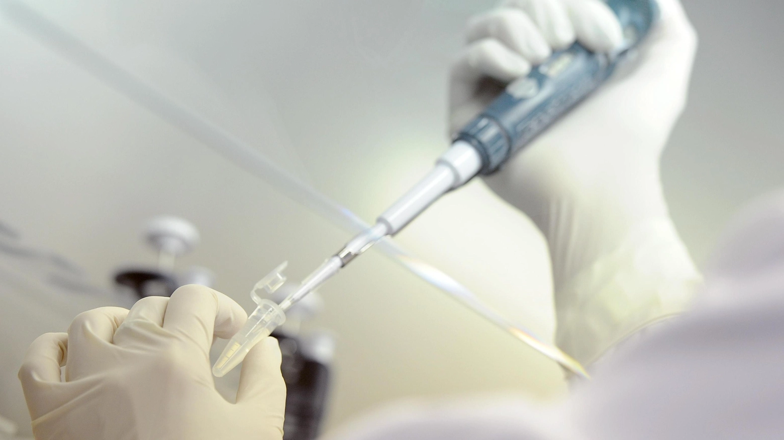 Un test del Dna (Foto archivio)