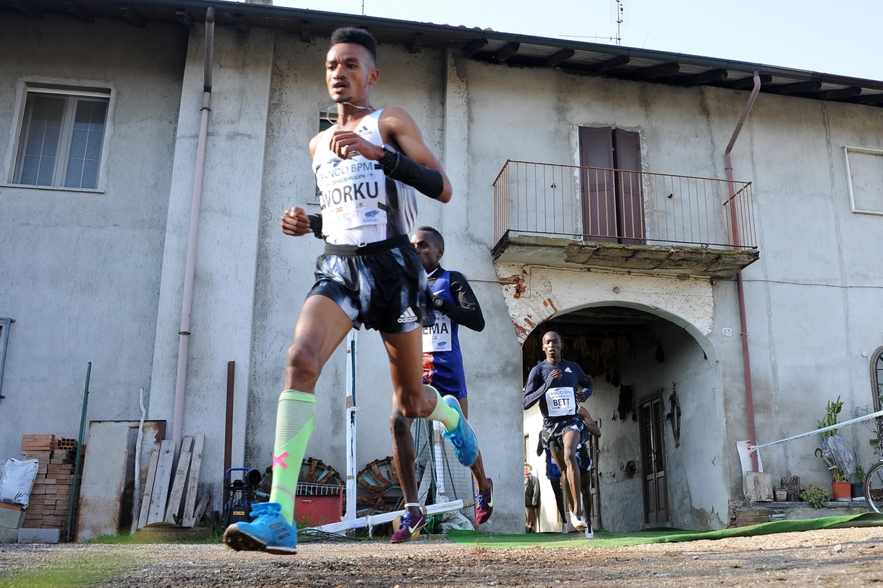 immagine di sfondo 14