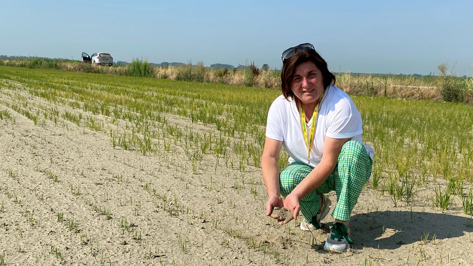 Una risicoltrice mostra il terreno