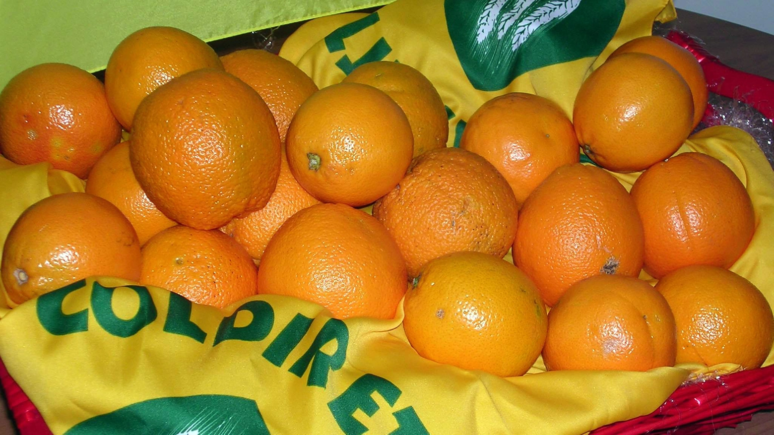 Rischia di sparire la spremuta d'arancia italiana (Ansa)