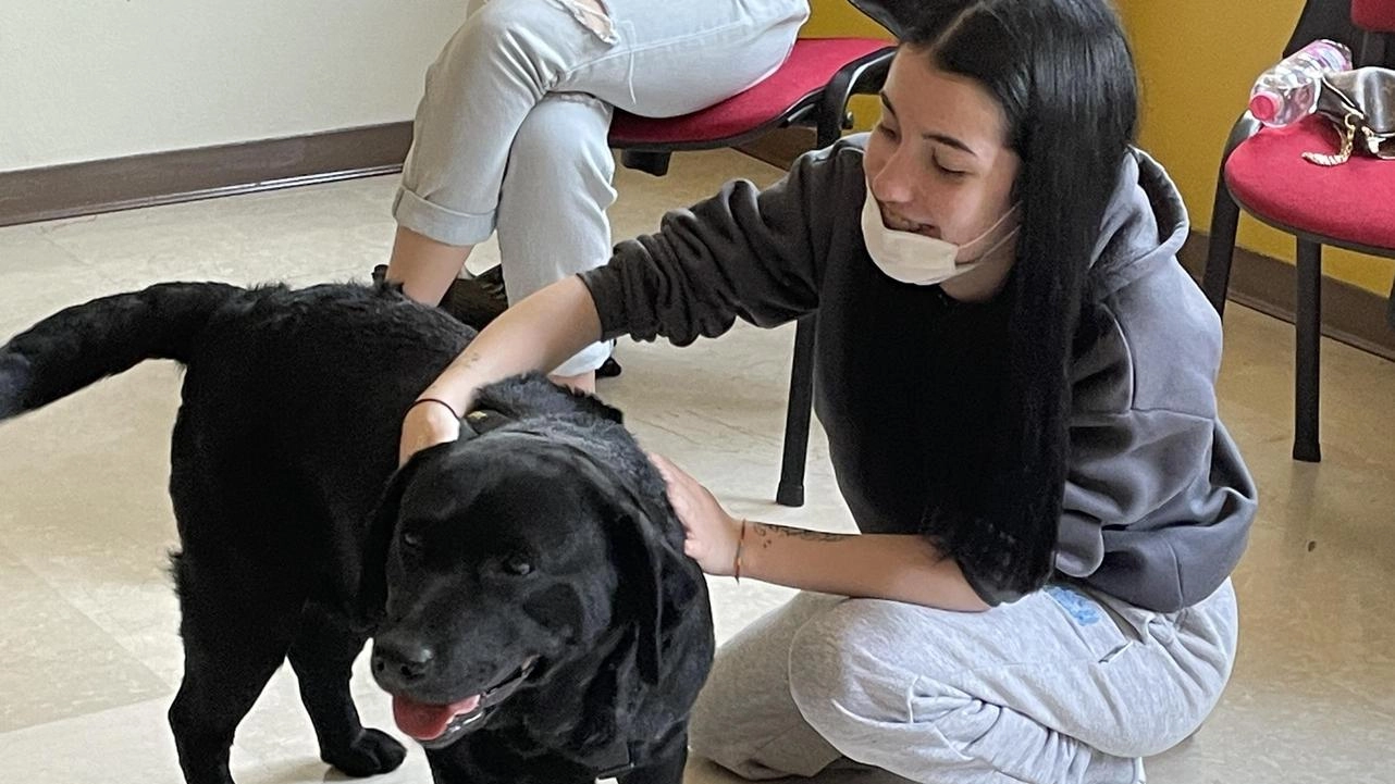 

Cinque ragazze e la cagnolina Estell a Gorgonzola: pet therapy per curare l'anima