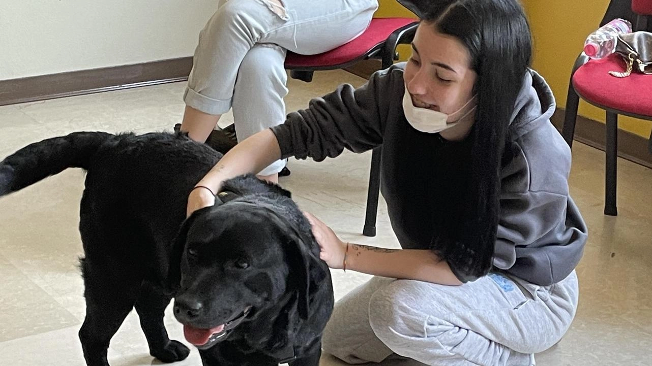 Cinque ragazze e la cagnolina Estell a Gorgonzola: pet therapy per curare l'anima
Cinque ragazze e la cagnolina Estell a Gorgonzola: pet therapy per curare l'anima
