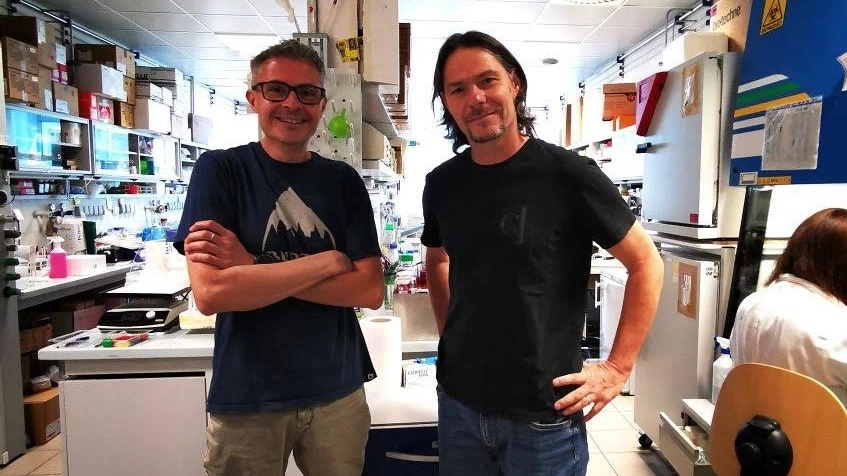 Emiliano Biasini, biochimico e Pietro Faccioli, professore di fisica teorica Emiliano Biasini, biochimico e Pietro Faccioli, professore di fisica teorica