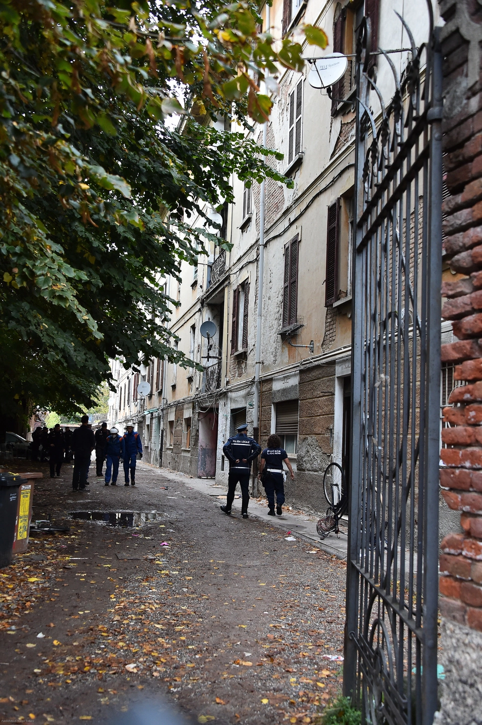 immagine di sfondo 5