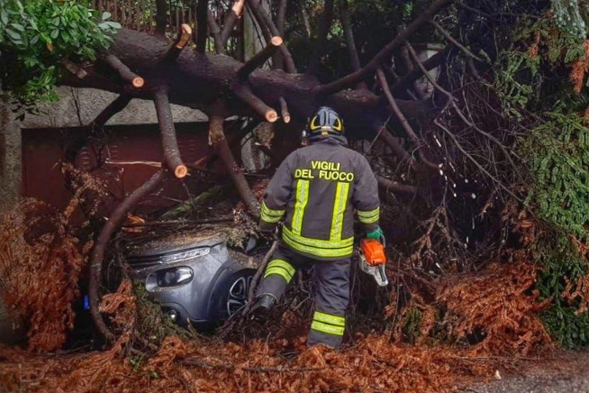 Un albero caduto su un'automobile nel Lecchese