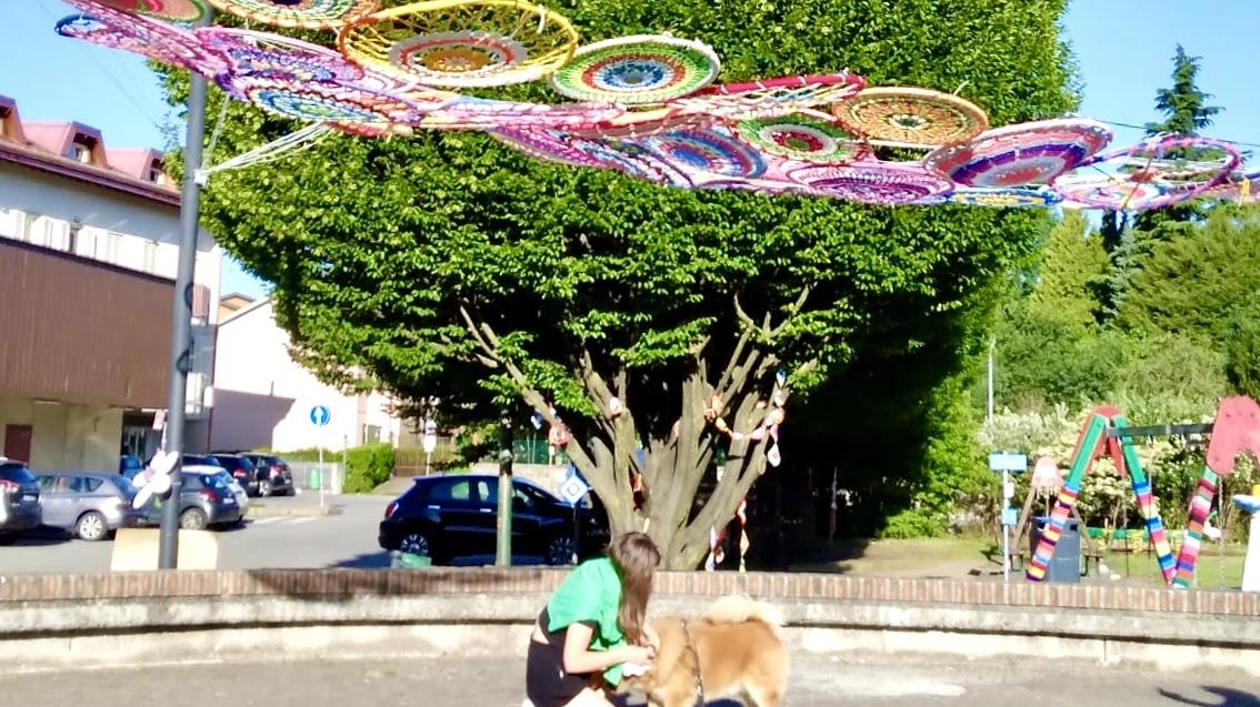 Un’invasione di colori Opere a maglia e uncinetto È Yarn Bombing Barzanò
