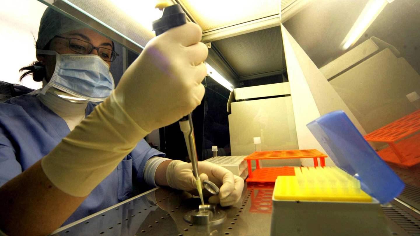 Torna l’incubo della febbre del Nilo e Usutu virus. Positività scoperta in alcuni uccelli a Varese