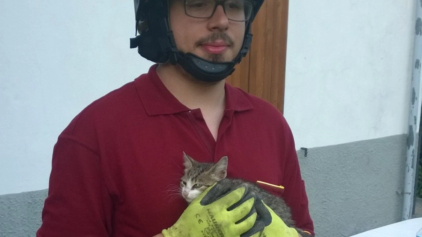 Un vigile del fuoco tiene in braccio il gattino