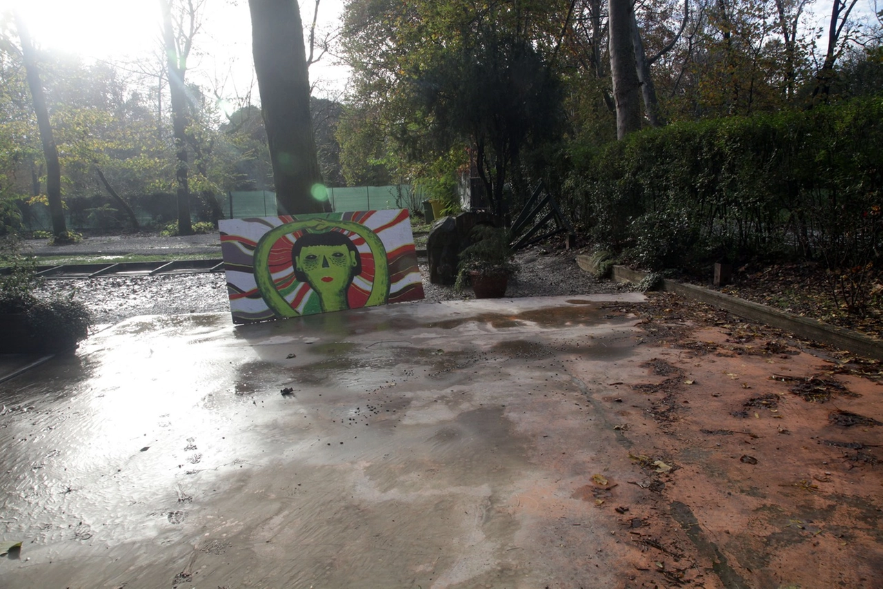 immagine di sfondo 32