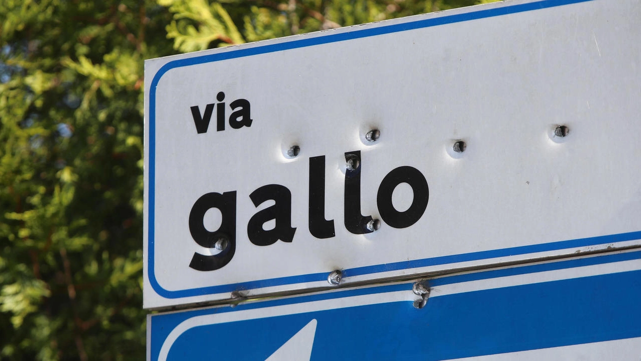 Il cartello stradale “bersaglio” dei proiettili Il cartello stradale “bersaglio” dei proiettili