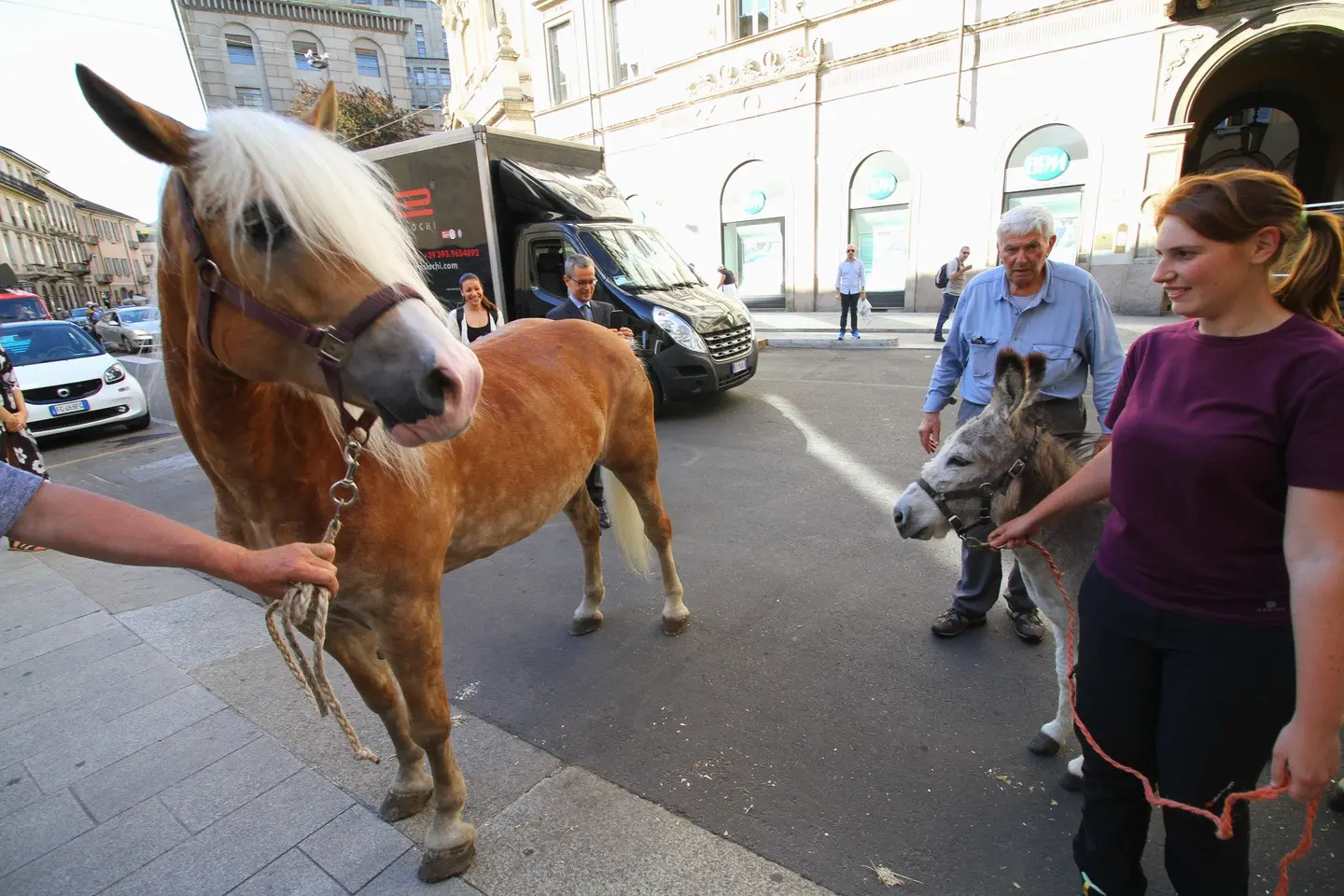 Cavallo e asinello in scena, protesta degli animalisti davanti alla Scala / FOTO
