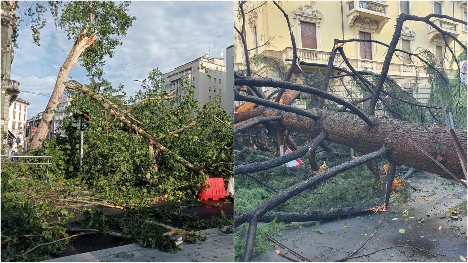 Alberi caduti in piazza Tricolore e in via Lambro