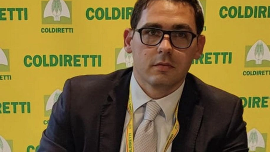 Tempesta a Ornago: Auto Distrutte, Devastati i Campi di Mais
Tempesta a Ornago: Auto Distrutte, Devastati i Campi di Mais