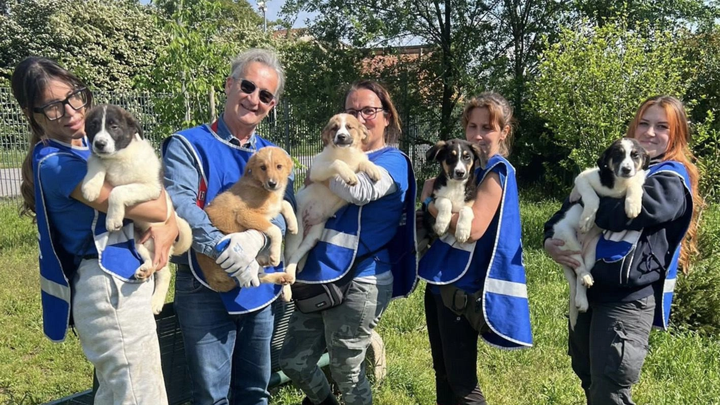 "Ci sacrifichiamo per gli animali". Enpa, un esercito di 200 volontari