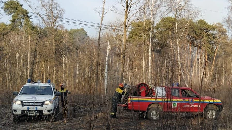 Incendio al Parco delle Groane  "Nessun dubbio, sono i piromani"