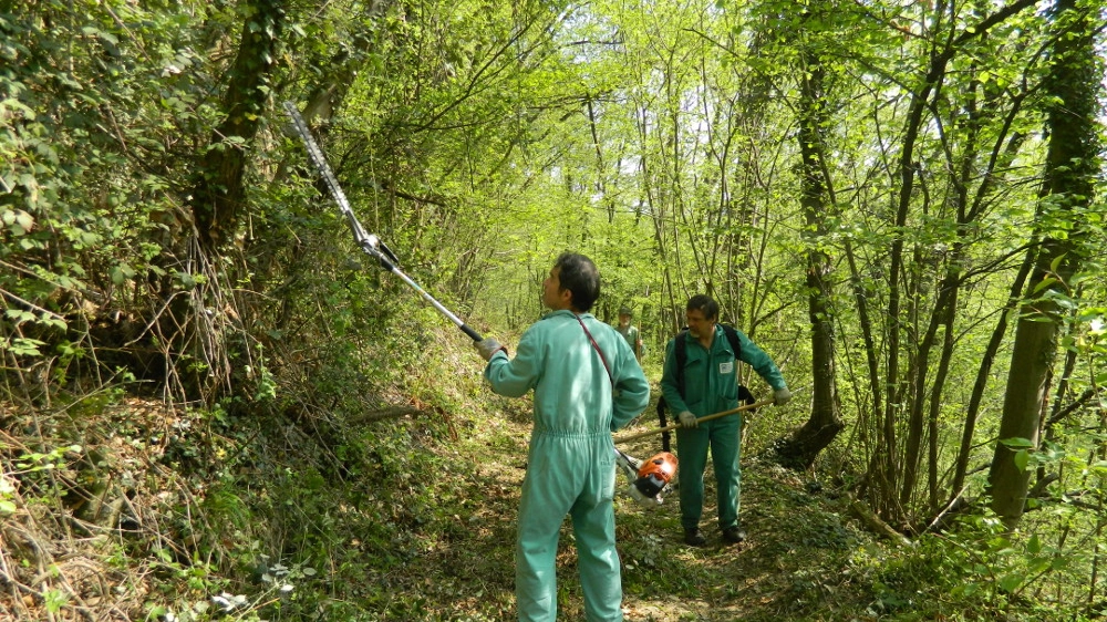 Campsirago, il teatro è fra gli alberi con Il Giardino delle Esperidi