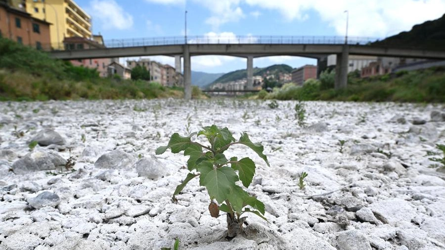 Il Bisagno in secca a Genova in larga parte del suo percorso a causa della siccità