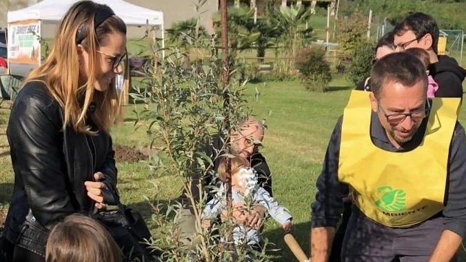 Alberi a dimora per ricordare le nuove nascite Alberi a dimora per ricordare le nuove nascite