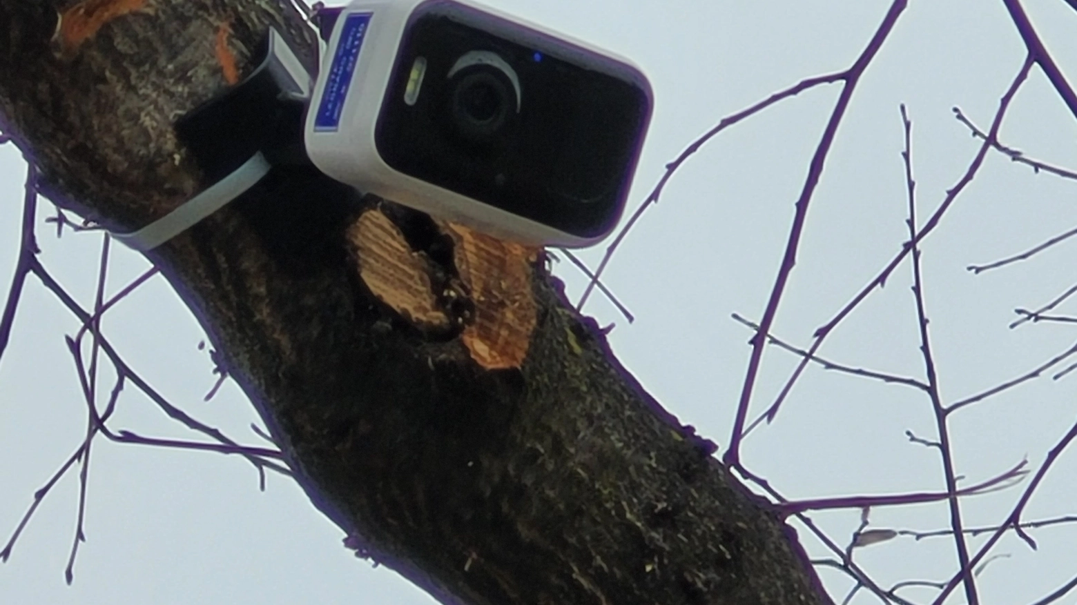Le telecamere di controllo installate sul territorio