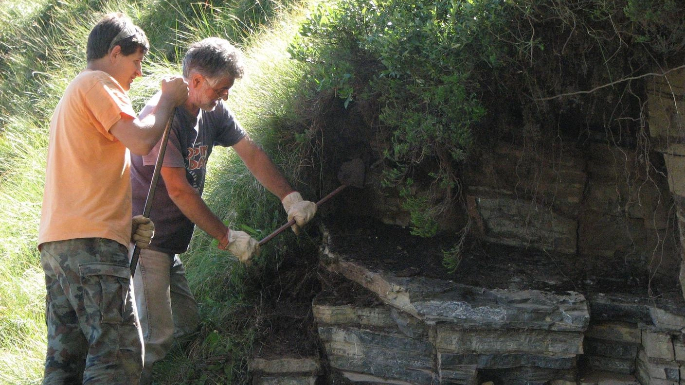

I fossili del Triassico di Varenna (Lecco): una calamita per gli archeologi