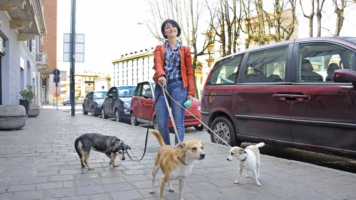 Una donna a passeggio con i suoi cagnolini, munita di sacchetti e paletta