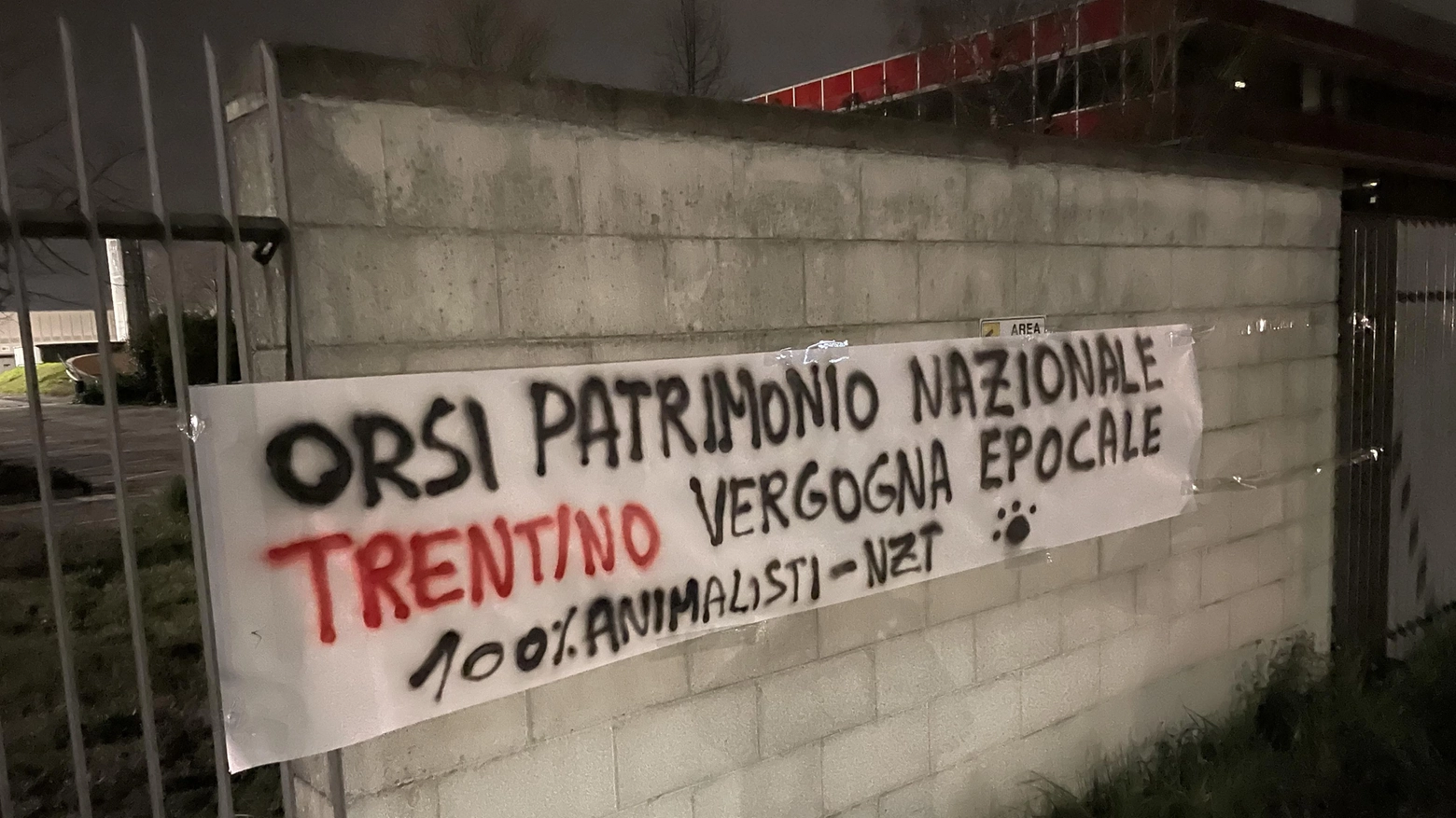 Striscioni  animalisti  contro l’uccisione  degli orsi  in Trentino