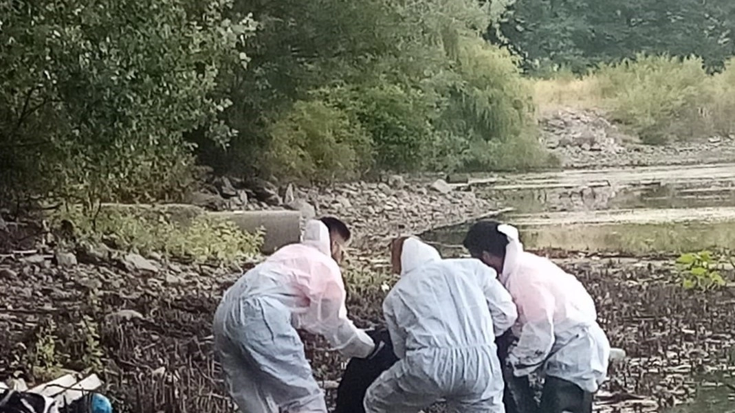 I rifiuti trovati nel lago I rifiuti trovati nel lago