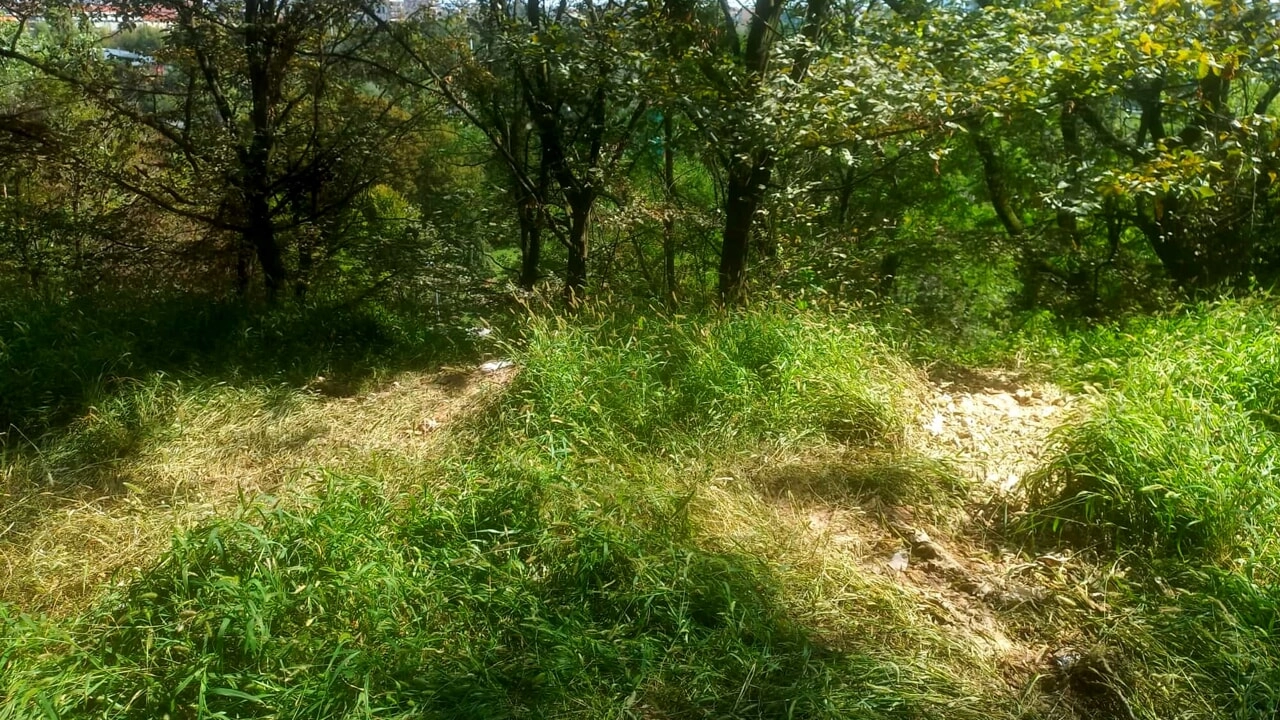 Uno dei punti del Monte Stella dove sono stati sversati abusivamente i liquami Uno dei punti del Monte Stella dove sono stati sversati abusivamente i liquami