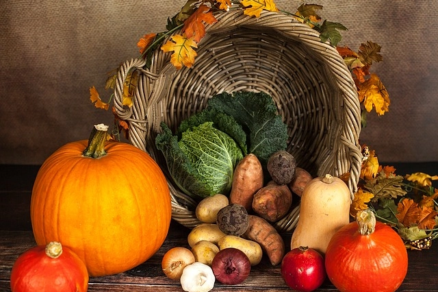 Sagra della Zucca