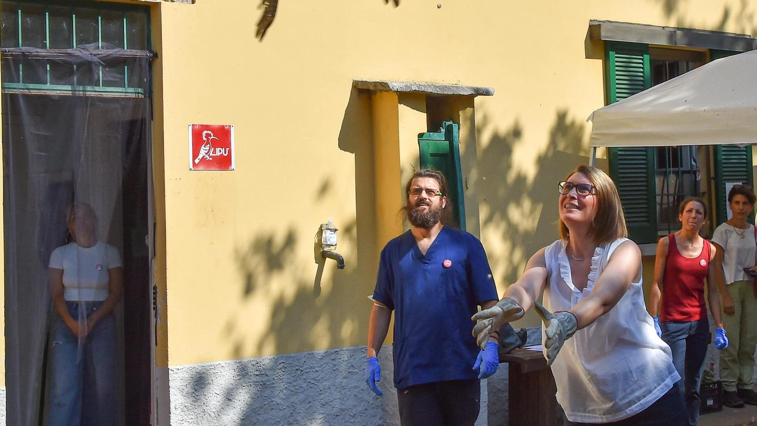Parco Ticino e Lipu uniti. Un sodalizio lungo 25 anni Parco Ticino e Lipu uniti. Un sodalizio lungo 25 anni