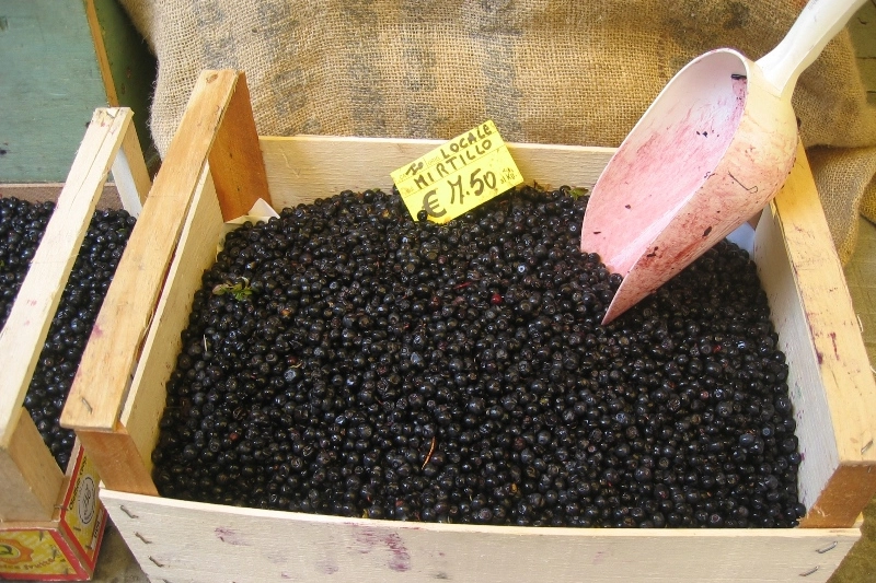 Sagra del mirtillo a Rasura