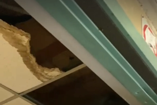 Un particolare dei danni al soffitto dell'Erasmo da Rotterdam