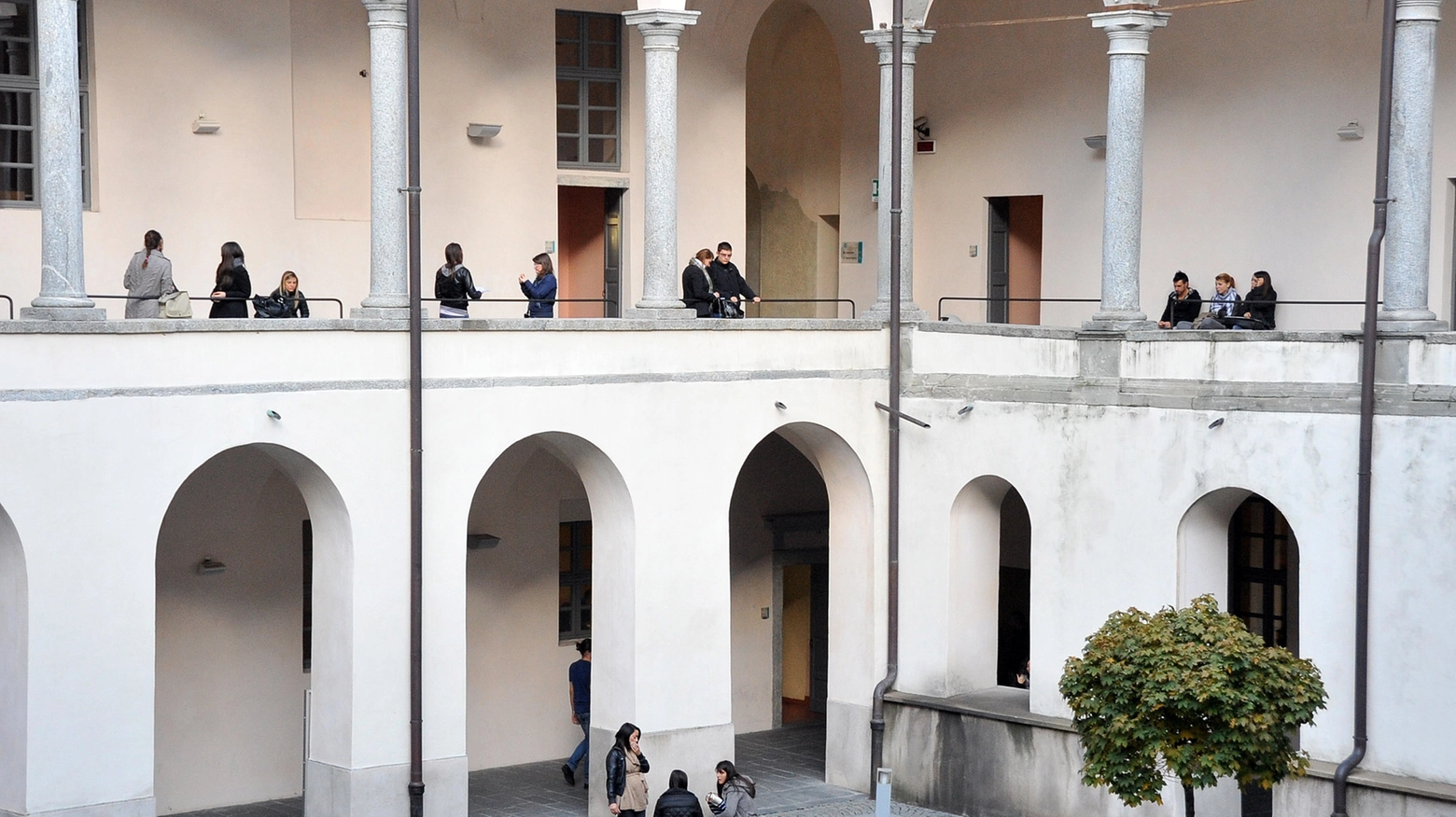 Università Insubria