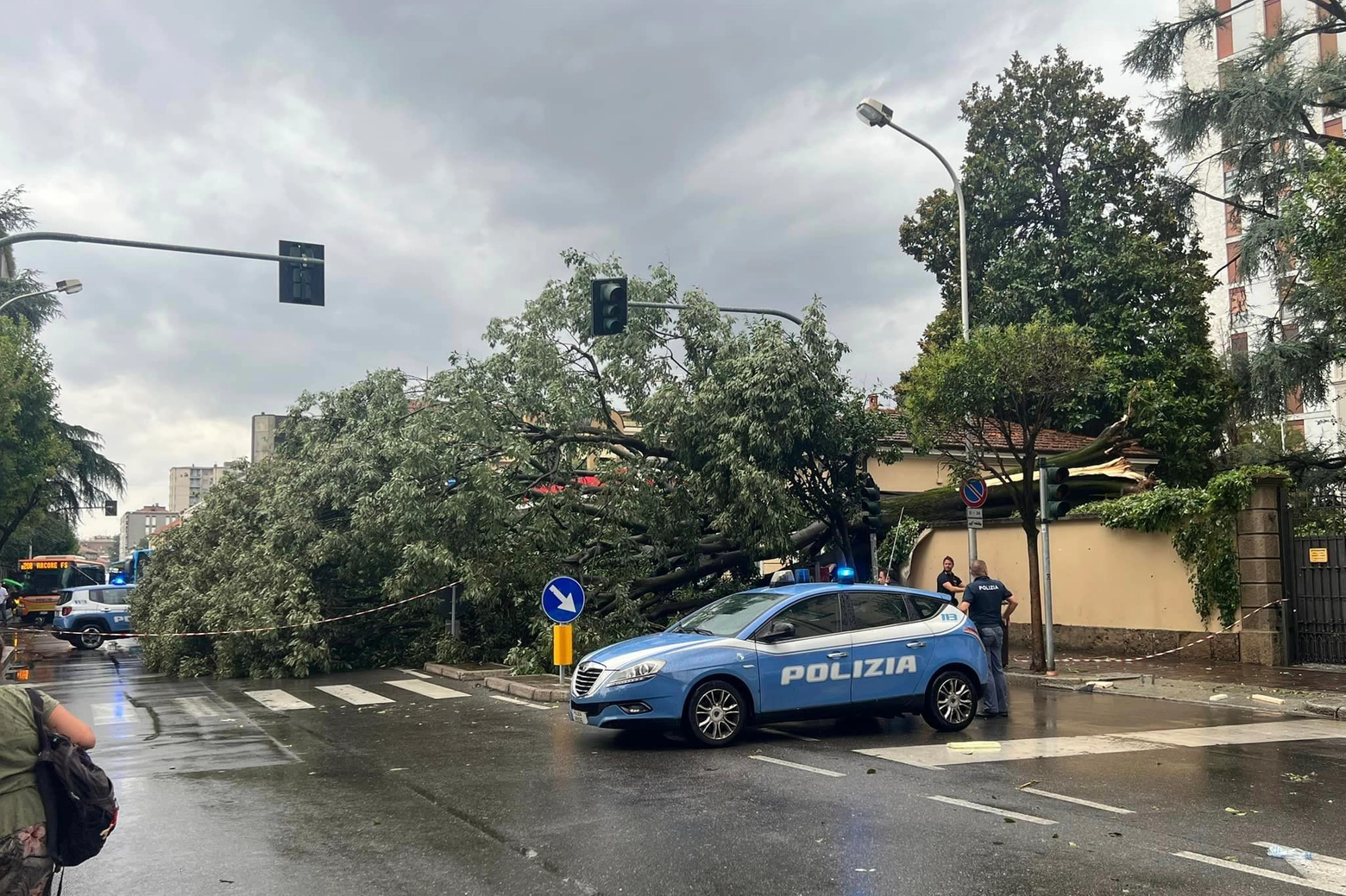 Il grosso albero caduto in corso Milano a Monza