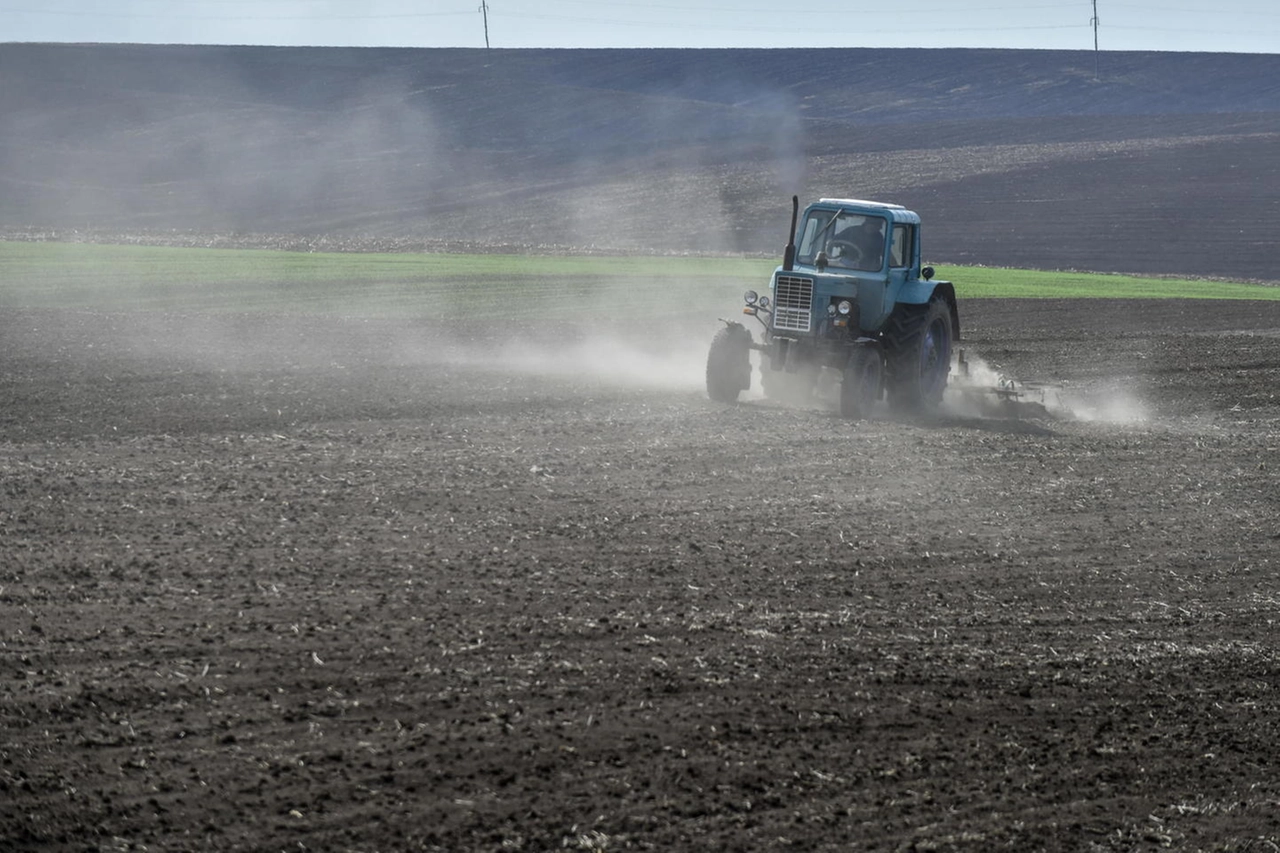 Un campo di grano in Ucraina
